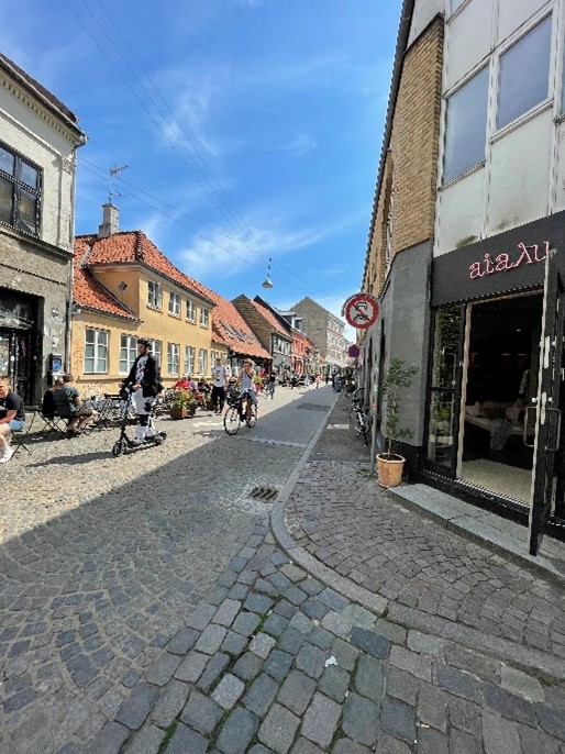 Column: Århus: het bruisende, landelijke hart van Jylland