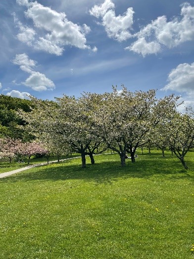 Kort verhaal: Het uur in de minuut
