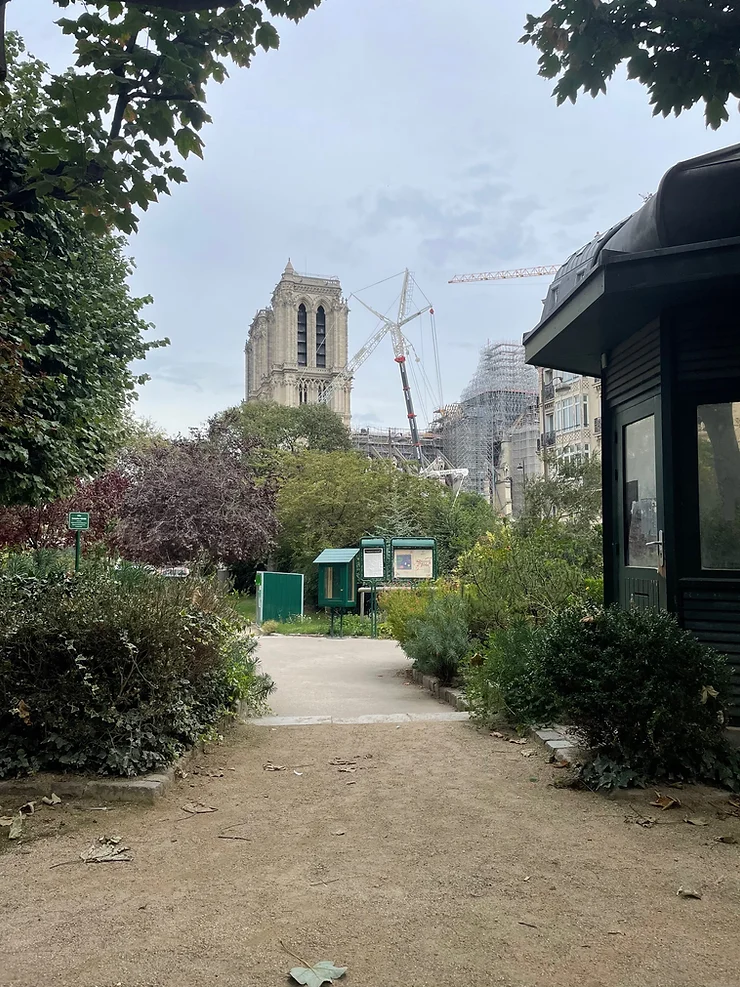 Kort verhaal: Een gebutste banaan