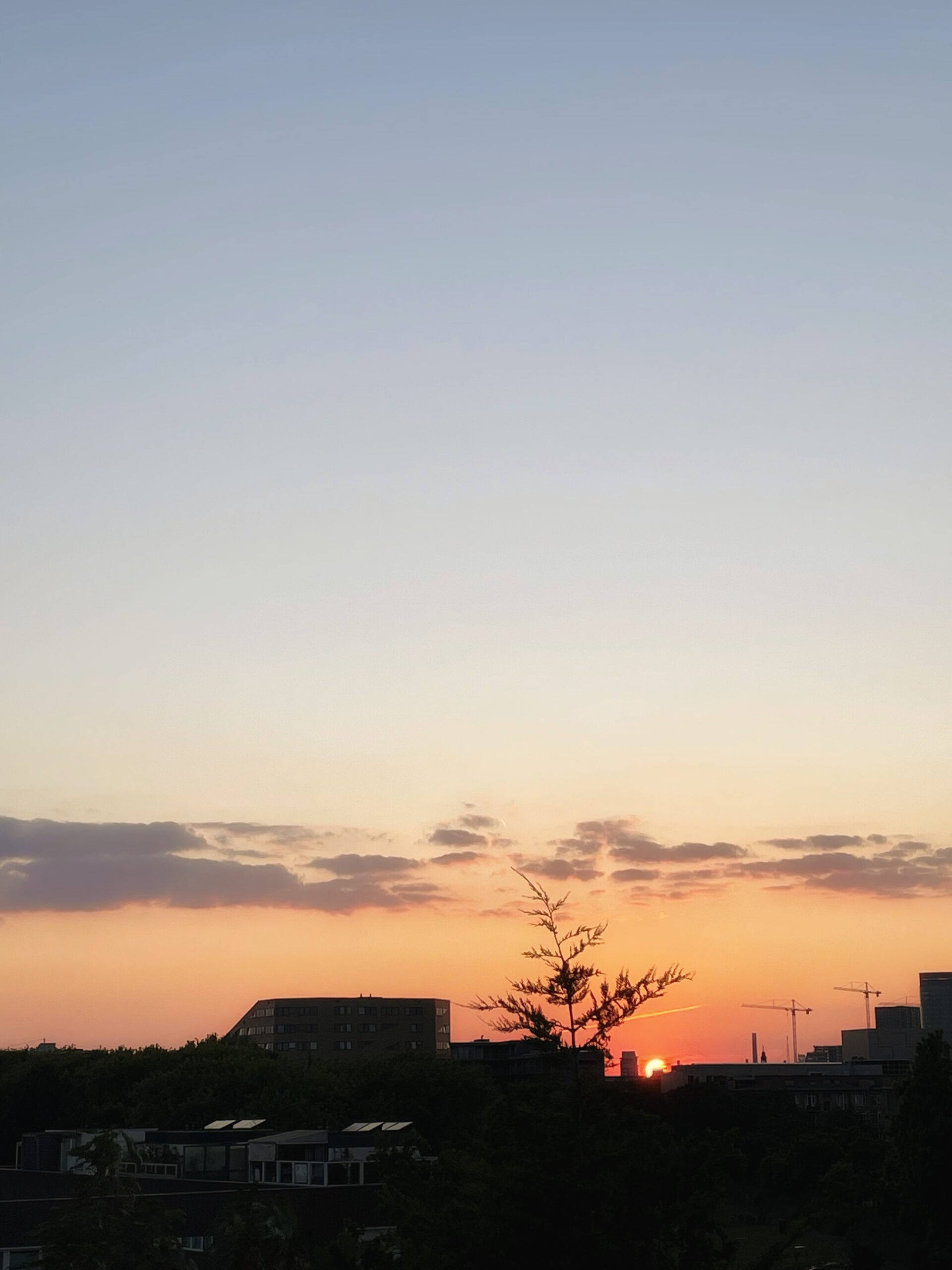 Essay: Buenos Aires en Utrecht