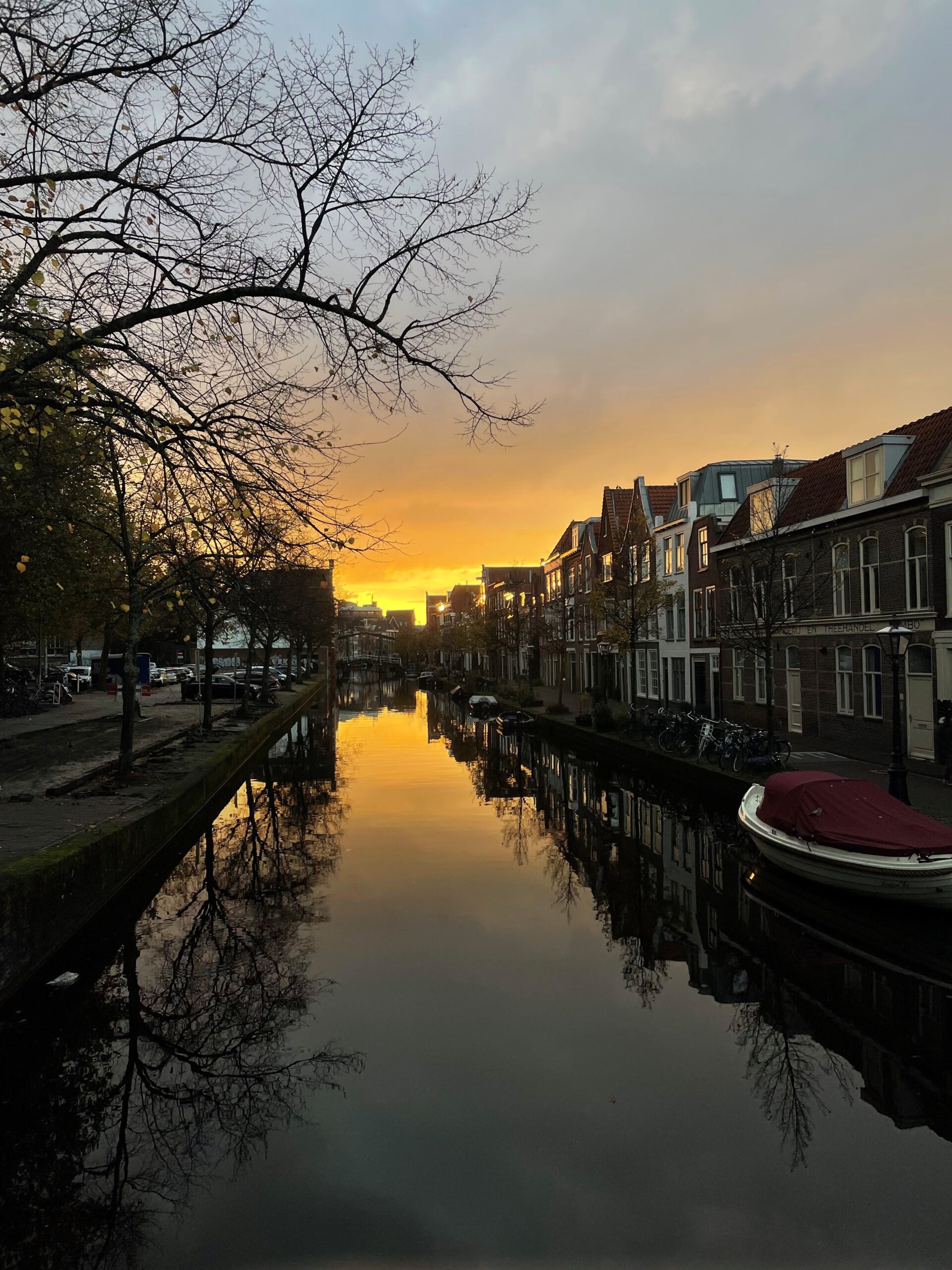 Novelle: Zwaartepunt