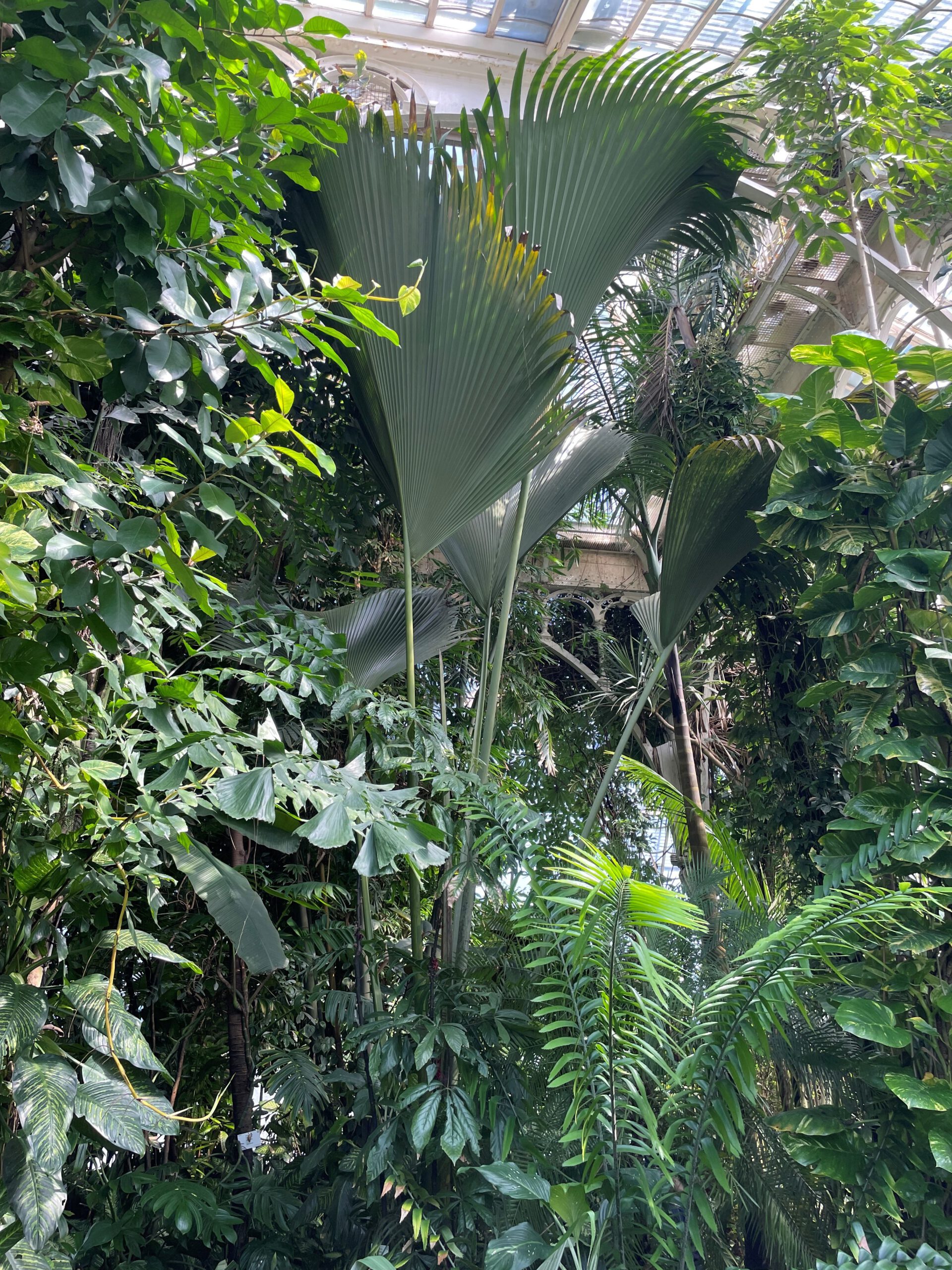 Recensie: Knut Hamsun – Hoe het groeide