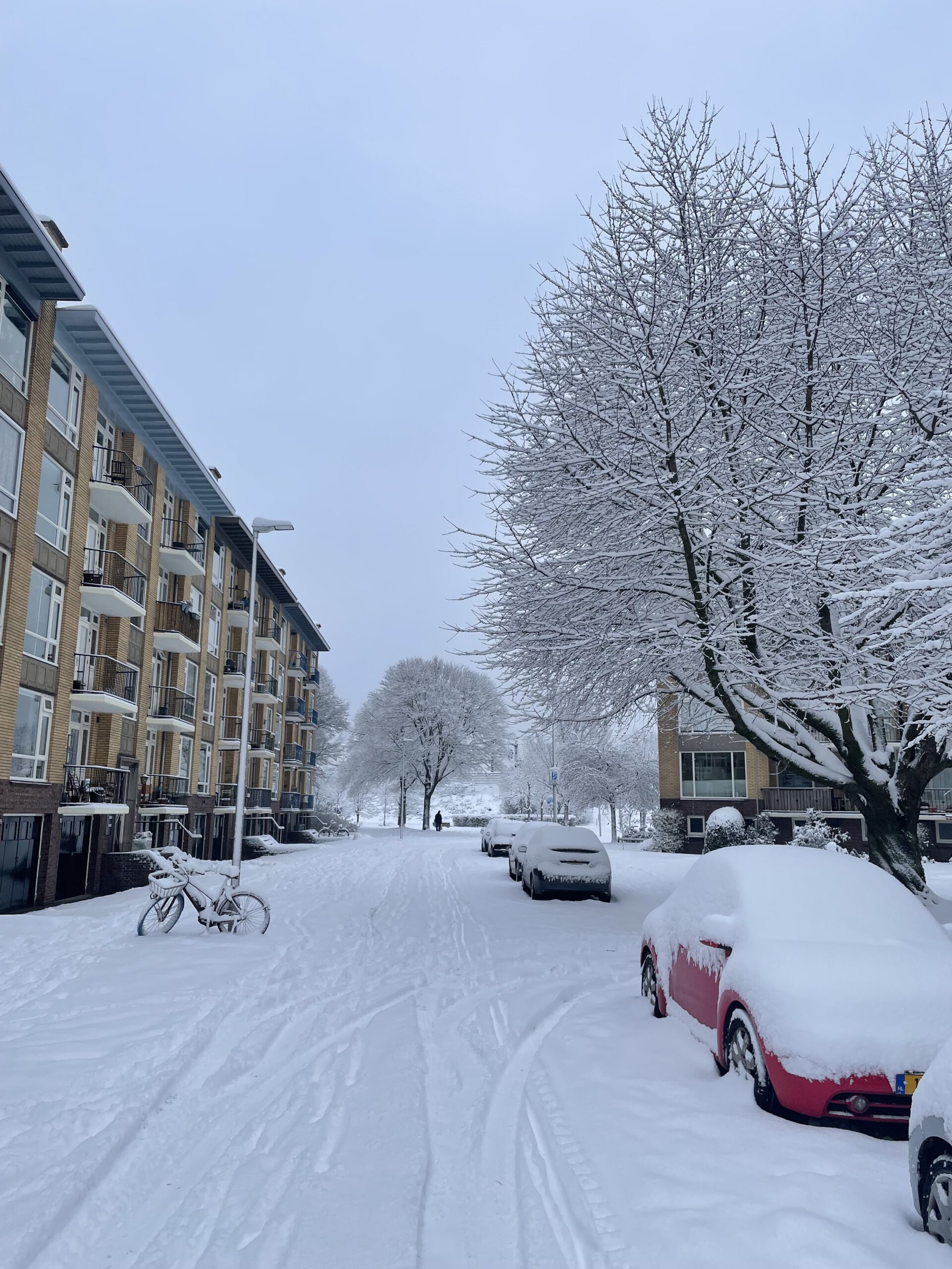 Recensie: Bertram Koeleman – Een luisterend oog